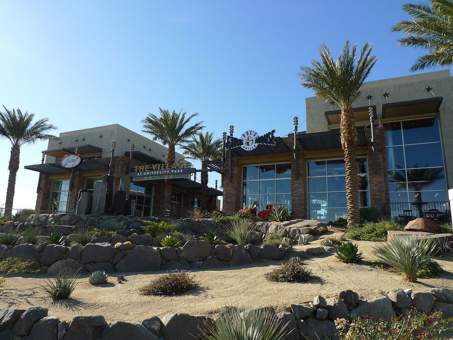 construction expert witness Florida